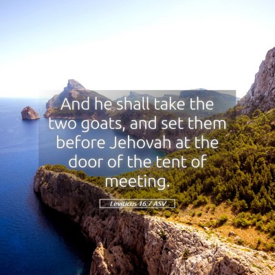 Picture 05 - Leviticus 16:7 ASV - And he shall take the two goats, and set them - Bible Verse Picture