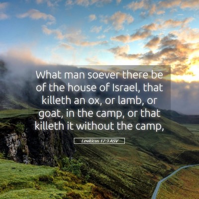Picture 05 - Leviticus 17:3 ASV - What man soever there be of the house of Israel, - Bible Verse Picture