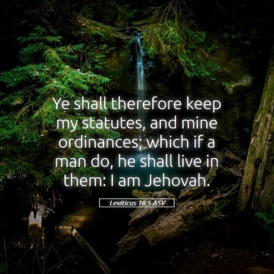 Picture 05 - Leviticus 18:5 ASV - Ye shall therefore keep my statutes, and mine - Bible Verse Picture
