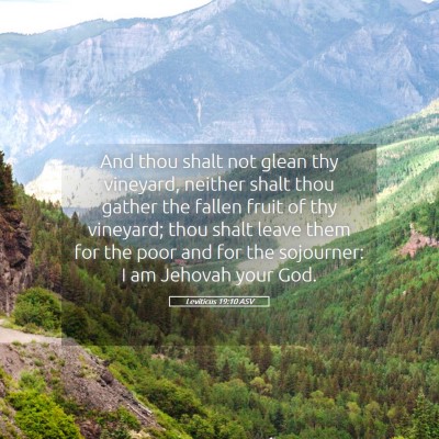 Picture 05 - Leviticus 19:10 ASV - And thou shalt not glean thy vineyard, neither - Bible Verse Picture