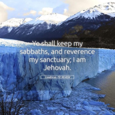 Picture 05 - Leviticus 19:30 ASV - Ye shall keep my sabbaths, and reverence my - Bible Verse Picture