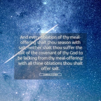 Picture 05 - Leviticus 2:13 ASV - And every oblation of thy meal-offering shalt - Bible Verse Picture