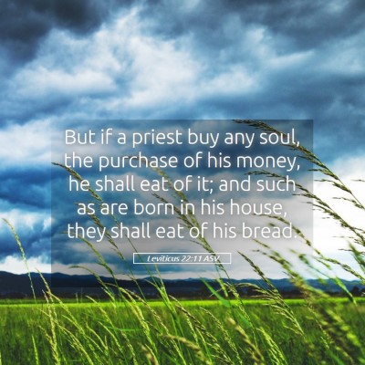 Picture 05 - Leviticus 22:11 ASV - But if a priest buy any soul, the purchase of his - Bible Verse Picture