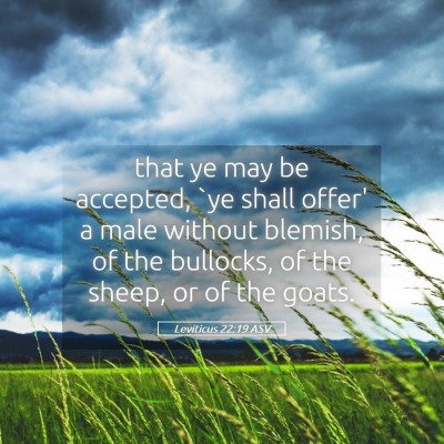 Picture 05 - Leviticus 22:19 ASV - that ye may be accepted, `ye shall offer' a male - Bible Verse Picture
