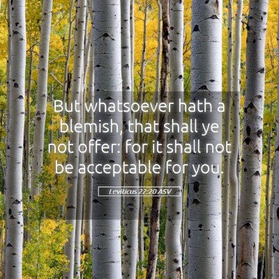 Picture 05 - Leviticus 22:20 ASV - But whatsoever hath a blemish, that shall ye not - Bible Verse Picture