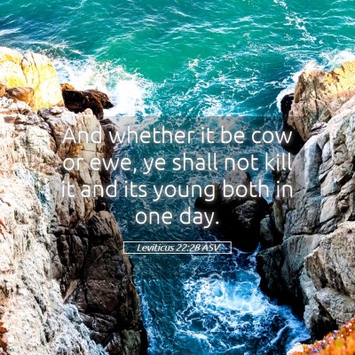 Picture 05 - Leviticus 22:28 ASV - And whether it be cow or ewe, ye shall not kill - Bible Verse Picture
