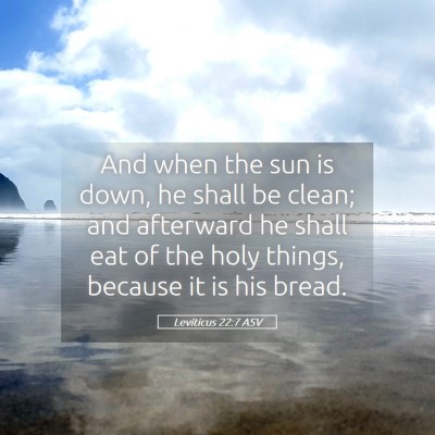 Picture 05 - Leviticus 22:7 ASV - And when the sun is down, he shall be clean; and - Bible Verse Picture