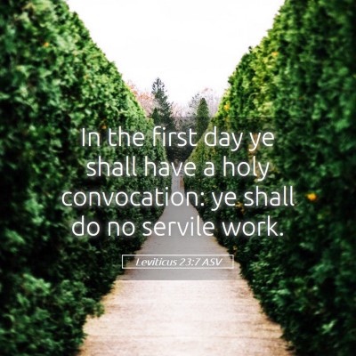 Picture 05 - Leviticus 23:7 ASV - In the first day ye shall have a holy - Bible Verse Picture