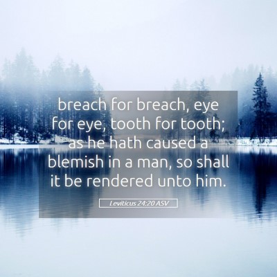 Picture 05 - Leviticus 24:20 ASV - breach for breach, eye for eye, tooth for tooth; - Bible Verse Picture