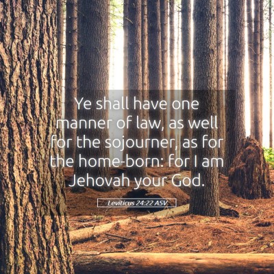 Picture 05 - Leviticus 24:22 ASV - Ye shall have one manner of law, as well for the - Bible Verse Picture