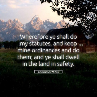 Picture 05 - Leviticus 25:18 ASV - Wherefore ye shall do my statutes, and keep mine - Bible Verse Picture