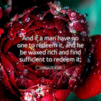 Picture 05 - Leviticus 25:26 ASV - And if a man have no one to redeem it, and he be - Bible Verse Picture