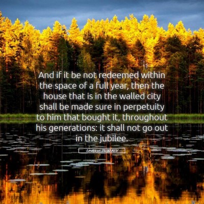 Picture 05 - Leviticus 25:30 ASV - And if it be not redeemed within the space of a - Bible Verse Picture