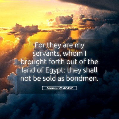 Picture 05 - Leviticus 25:42 ASV - For they are my servants, whom I brought forth - Bible Verse Picture