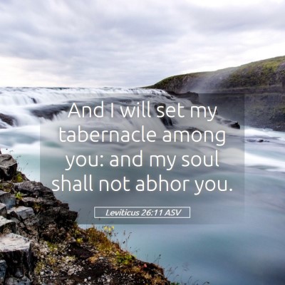 Picture 05 - Leviticus 26:11 ASV - And I will set my tabernacle among you: and my - Bible Verse Picture