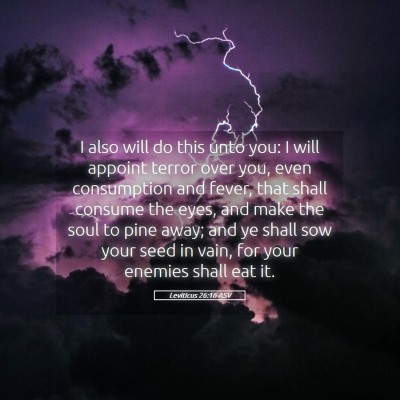 Picture 05 - Leviticus 26:16 ASV - I also will do this unto you: I will appoint - Bible Verse Picture