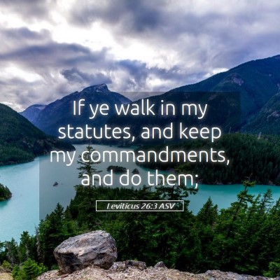 Picture 05 - Leviticus 26:3 ASV - If ye walk in my statutes, and keep my - Bible Verse Picture