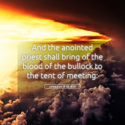 Picture 05 - Leviticus 4:16 ASV - And the anointed priest shall bring of the blood - Bible Verse Picture