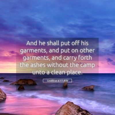 Picture 05 - Leviticus 6:11 ASV - And he shall put off his garments, and put on - Bible Verse Picture