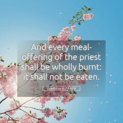 Picture 05 - Leviticus 6:23 ASV - And every meal-offering of the priest shall be - Bible Verse Picture