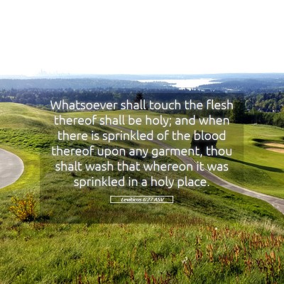 Picture 05 - Leviticus 6:27 ASV - Whatsoever shall touch the flesh thereof shall be - Bible Verse Picture