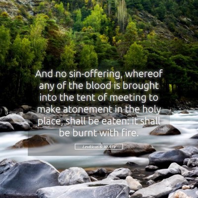 Picture 05 - Leviticus 6:30 ASV - And no sin-offering, whereof any of the blood is - Bible Verse Picture