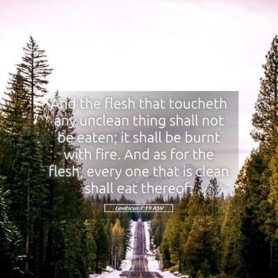Picture 05 - Leviticus 7:19 ASV - And the flesh that toucheth any unclean thing - Bible Verse Picture
