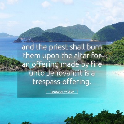 Picture 05 - Leviticus 7:5 ASV - and the priest shall burn them upon the altar for - Bible Verse Picture