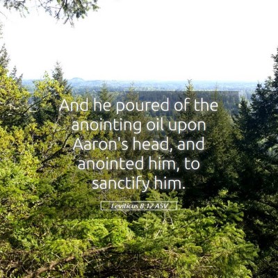 Picture 05 - Leviticus 8:12 ASV - And he poured of the anointing oil upon Aaron's - Bible Verse Picture
