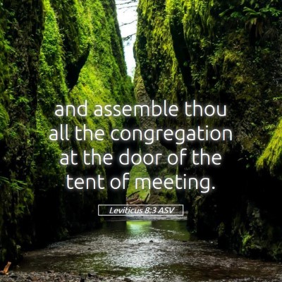 Picture 05 - Leviticus 8:3 ASV - and assemble thou all the congregation at the - Bible Verse Picture