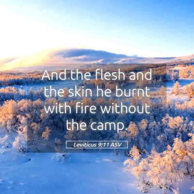 Picture 05 - Leviticus 9:11 ASV - And the flesh and the skin he burnt with fire - Bible Verse Picture