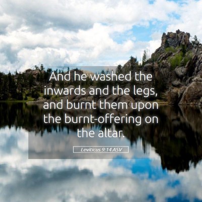 Picture 05 - Leviticus 9:14 ASV - And he washed the inwards and the legs, and burnt - Bible Verse Picture