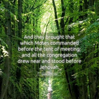 Picture 05 - Leviticus 9:5 ASV - And they brought that which Moses commanded - Bible Verse Picture