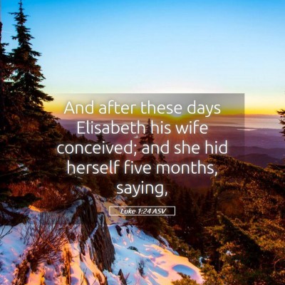 Picture 05 - Luke 1:24 ASV - And after these days Elisabeth his wife - Bible Verse Picture