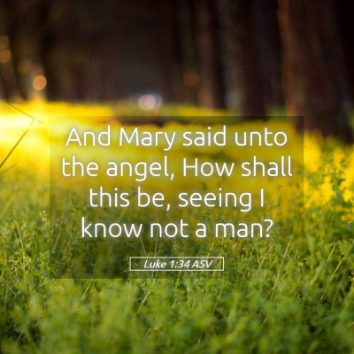 Picture 05 - Luke 1:34 ASV - And Mary said unto the angel, How shall this be, - Bible Verse Picture