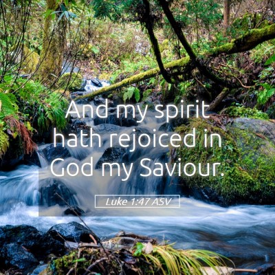 Picture 05 - Luke 1:47 ASV - And my spirit hath rejoiced in God my - Bible Verse Picture
