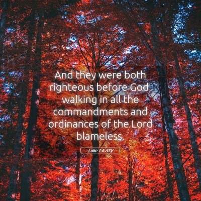 Picture 05 - Luke 1:6 ASV - And they were both righteous before God, walking - Bible Verse Picture