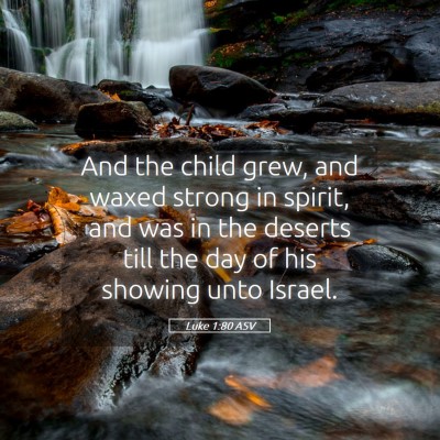 Picture 05 - Luke 1:80 ASV - And the child grew, and waxed strong in spirit, - Bible Verse Picture
