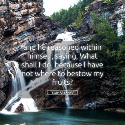 Picture 05 - Luke 12:17 ASV - and he reasoned within himself, saying, What - Bible Verse Picture
