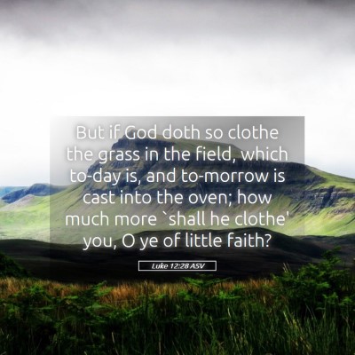 Picture 05 - Luke 12:28 ASV - But if God doth so clothe the grass in the field, - Bible Verse Picture