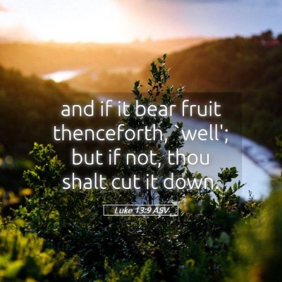 Picture 05 - Luke 13:9 ASV - and if it bear fruit thenceforth, `well'; but if - Bible Verse Picture