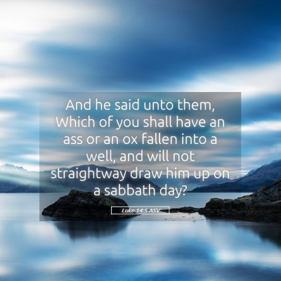 Picture 05 - Luke 14:5 ASV - And he said unto them, Which of you shall have an - Bible Verse Picture