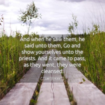 Picture 05 - Luke 17:14 ASV - And when he saw them, he said unto them, Go and - Bible Verse Picture