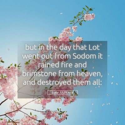 Picture 05 - Luke 17:29 ASV - but in the day that Lot went out from Sodom it - Bible Verse Picture