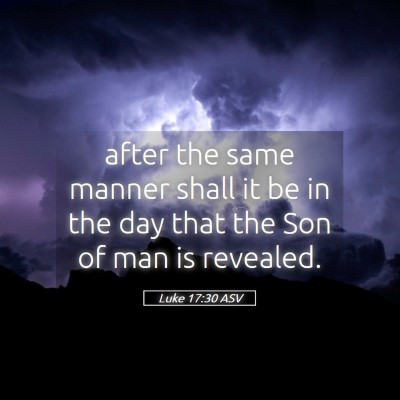 Picture 05 - Luke 17:30 ASV - after the same manner shall it be in the day that - Bible Verse Picture