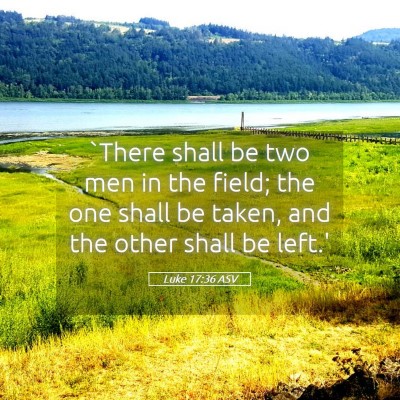 Picture 05 - Luke 17:36 ASV - `There shall be two men in the field; the one - Bible Verse Picture