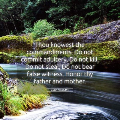 Picture 05 - Luke 18:20 ASV - Thou knowest the commandments, Do not commit - Bible Verse Picture