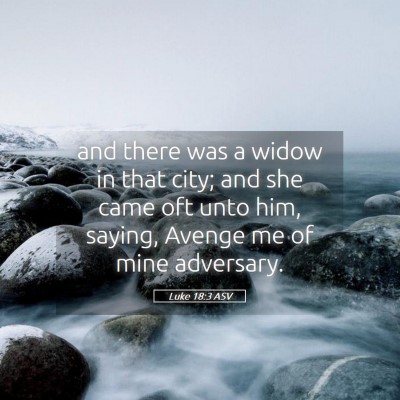 Picture 05 - Luke 18:3 ASV - and there was a widow in that city; and she came - Bible Verse Picture