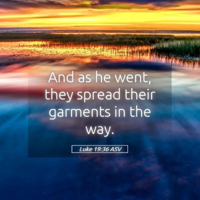 Picture 05 - Luke 19:36 ASV - And as he went, they spread their garments in the - Bible Verse Picture