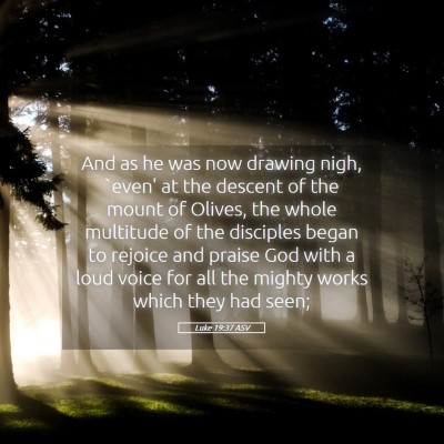 Picture 05 - Luke 19:37 ASV - And as he was now drawing nigh, `even' at the - Bible Verse Picture